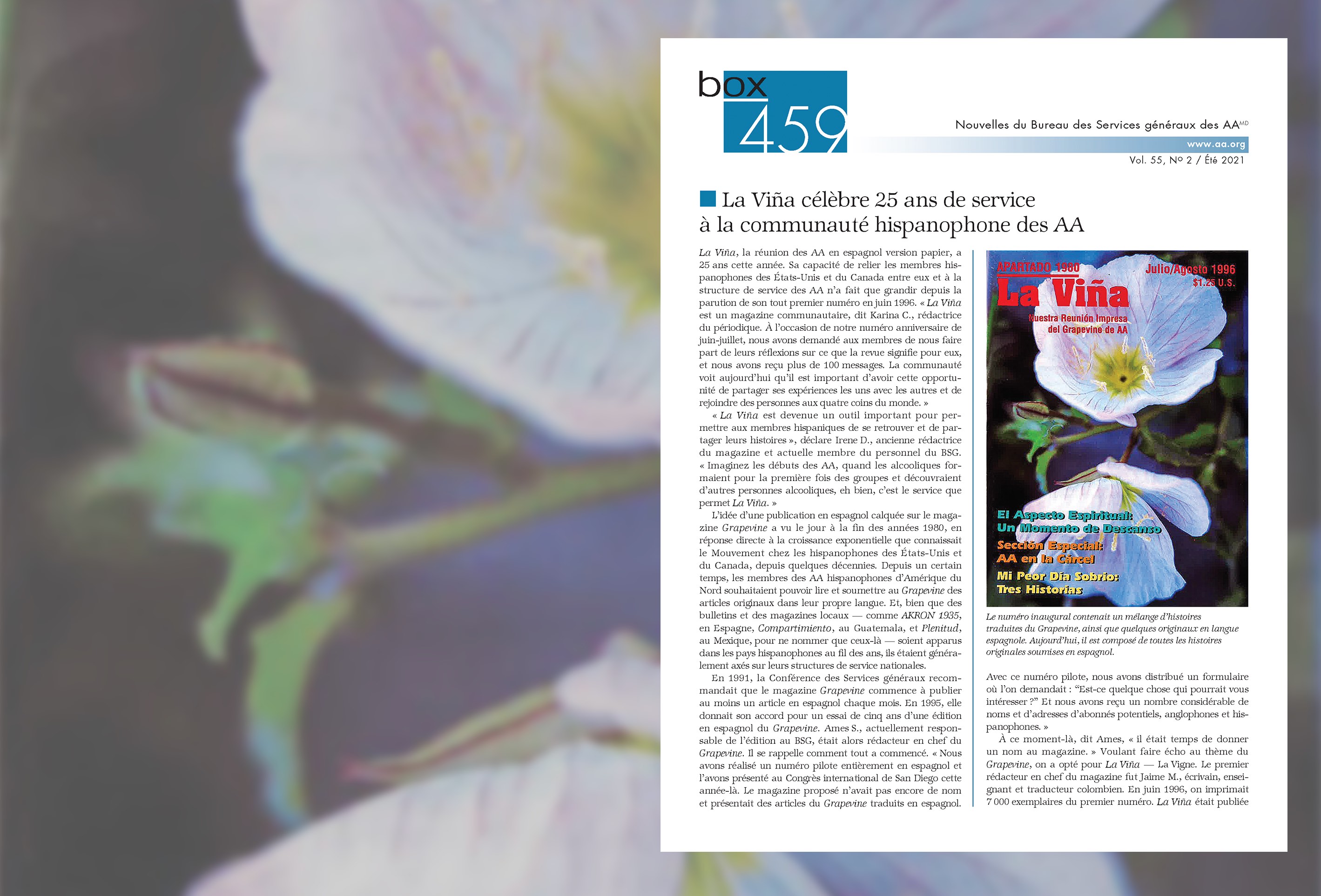 Fleurs blanches sur une branche avec un encart de la première page d'un bulletin Box 459.