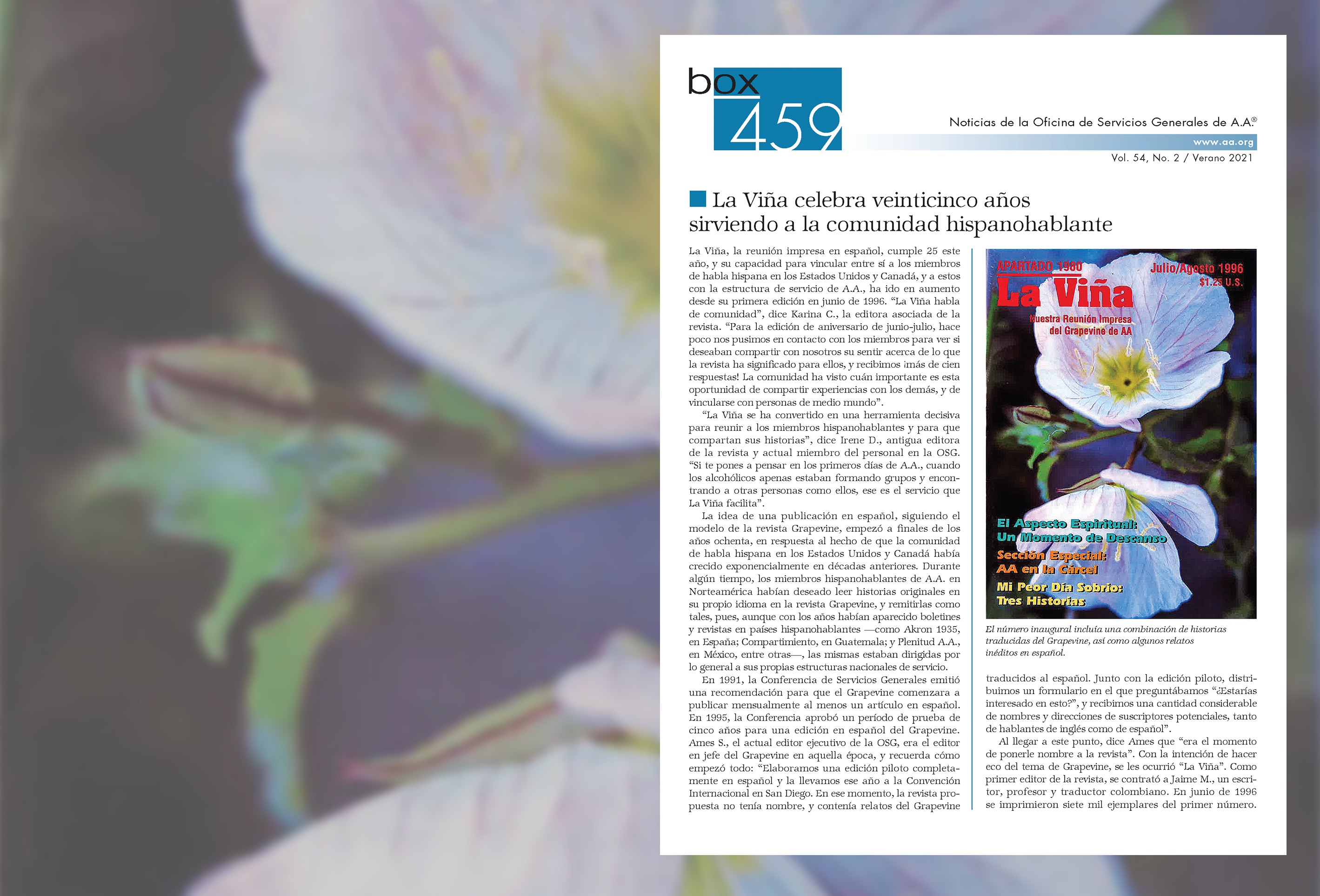 Flores blancas en una rama con un recuadro de la portada de un boletín de Box 4-5-9.