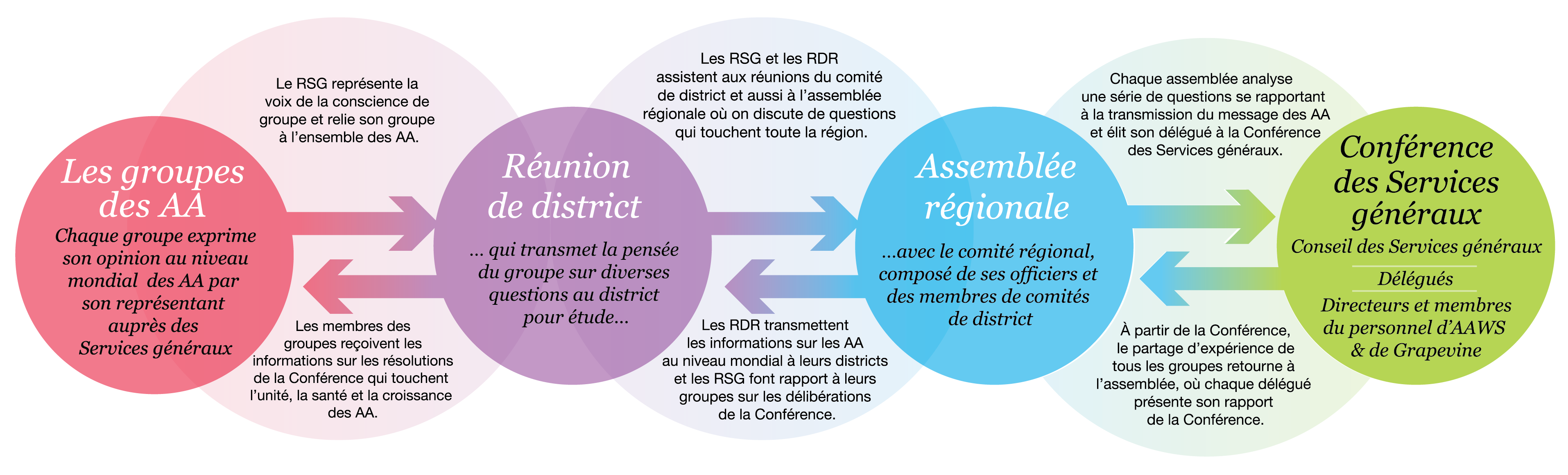 Circle Chart in French